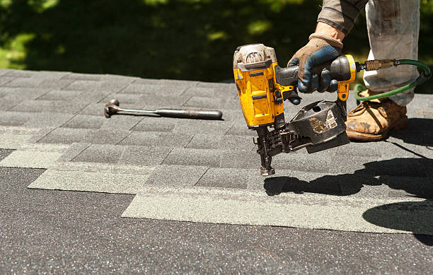 Roof Gutter Cleaning