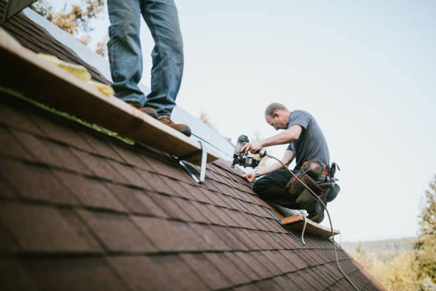 Best Local Roofing Companies  in Bressler, PA